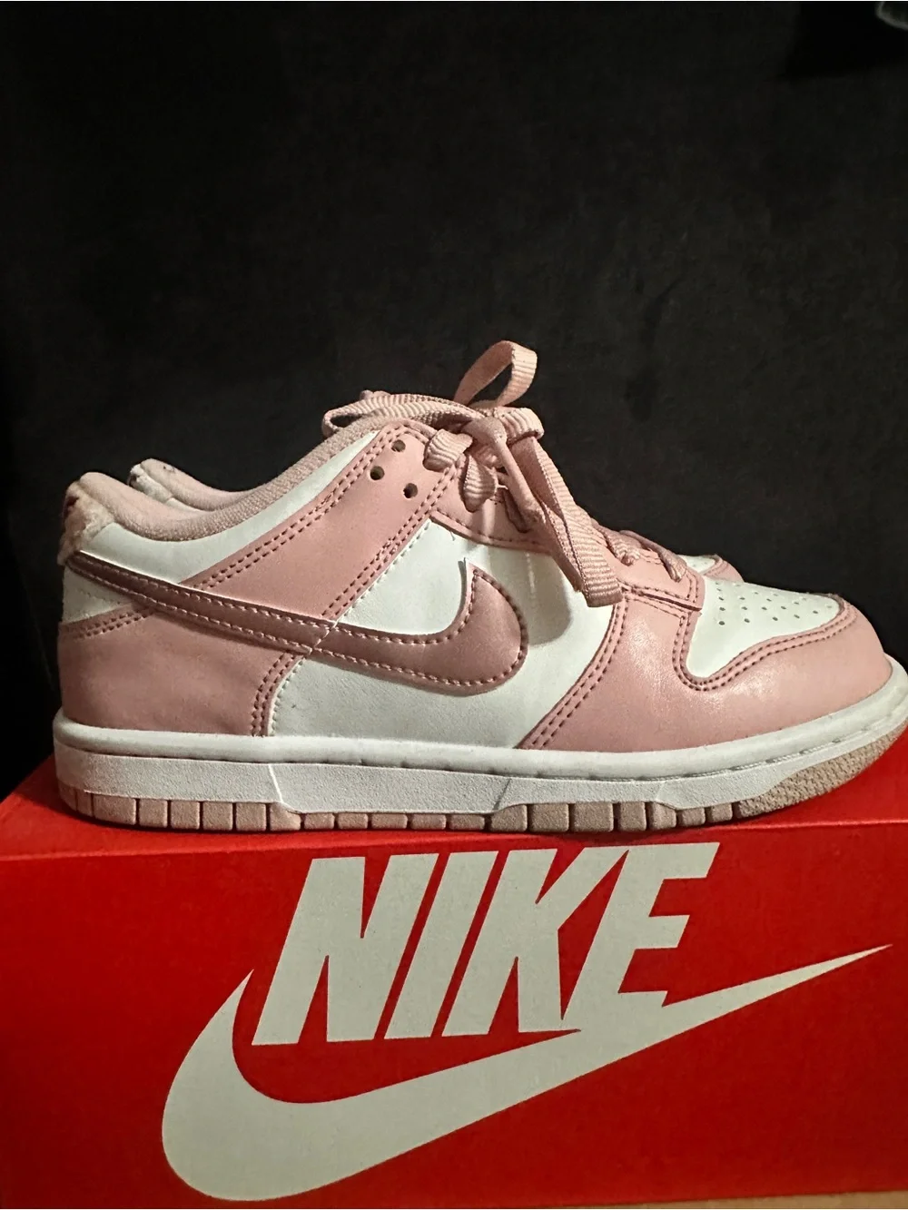 Nike youth low